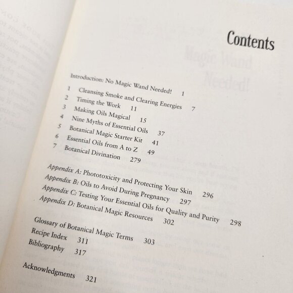 Blackthorn'S Botanical Magi The Green Witch's Guide to Healing Amy Blackthorn - Picture 6 of 9